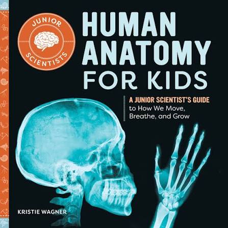 Human Anatomy for Kids A Junior Scientists Guide to How We Move, Breathe, and Grow by Kristie Wagner